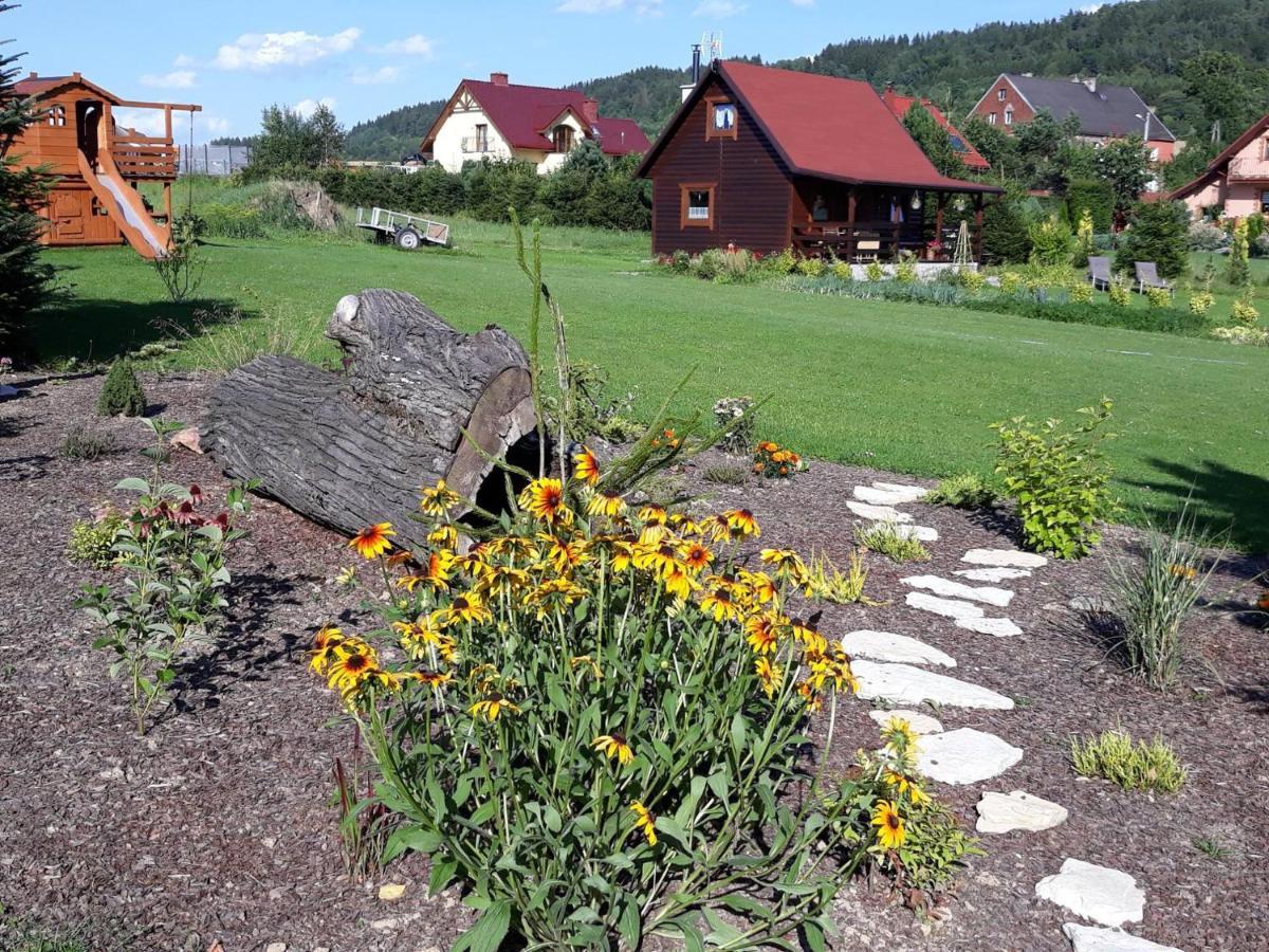 Domek U Karkonosza Villa Kamienna Gora Exterior foto