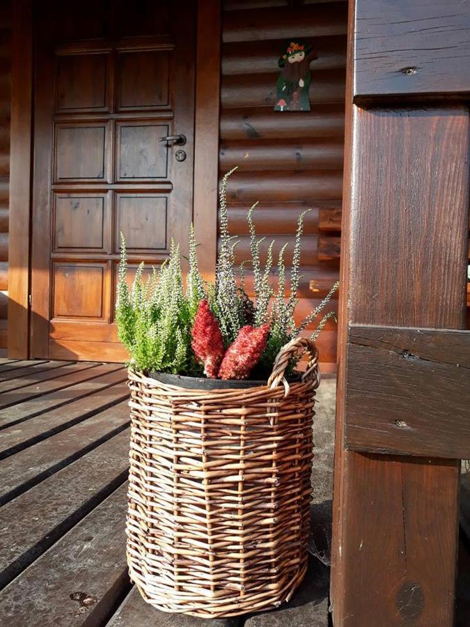 Domek U Karkonosza Villa Kamienna Gora Exterior foto